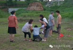 邯郸肥乡网友爆料新闻最新,惊现神秘事件，真相令人震惊！